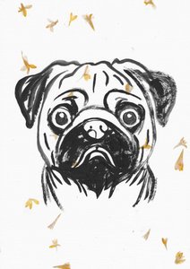 Mops s padajícími okvětními lístky od Santhosh ch