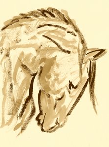 Skica divokého koně od Santhosh ch