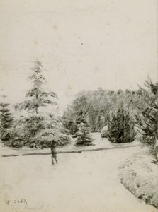 Studie zahrady od Santiago Rusiñol