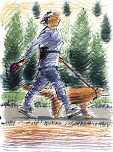 Walking the Dog, 2009 (akryl) od Sara Hayward