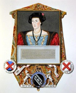 Portrét sira Anthonyho Browna (1500-48) z knihy "Memoirs of the Court of Queen Elizabeth", vydané v roce 1825 (akvarel a kvaš na papíře) od Sarah Countess of Essex
