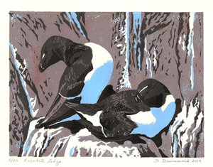 Razorbill Ledge, 2014 (linoryt)