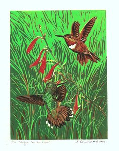 Rufus Pas de Deux, 2016 (linoryt )