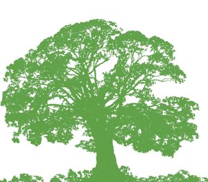 Climbing Tree, 2009 (digitální) od Sarah Hough