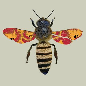 Honey Bee, 2010 (digitální) od Sarah Hough