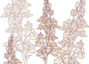 Orchidej, 2017 od Sarah Hough