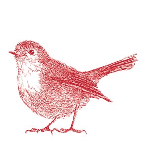 Robin, 2017 od Sarah Hough