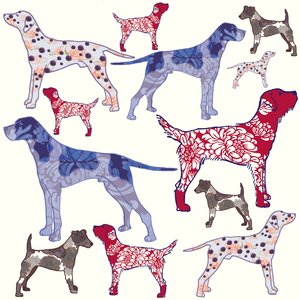 Topdogs, 2005 (digitální)
