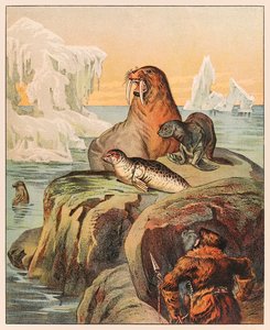 Eskymák lovící tuleně a mrože od P.T. Barnum
