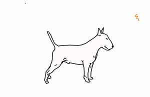 Bulteriér, 2018, (digitální kresba) od Sarah Thompson-Engels