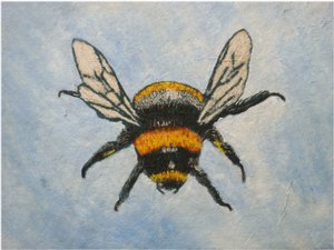 Bumblebee, 2015 (pastely a akvarely)