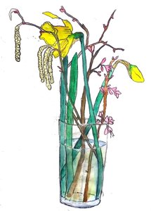 Narcisy od Sarah Thompson Engels