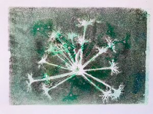 Seedhead I, 2020, (monotisk) od Sarah Thompson Engels