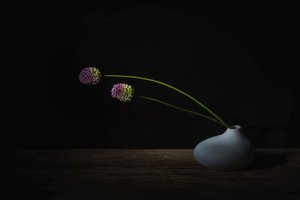  od Saskia Dingemans