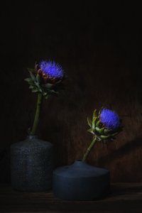  od Saskia Dingemans