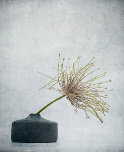  od Saskia Dingemans