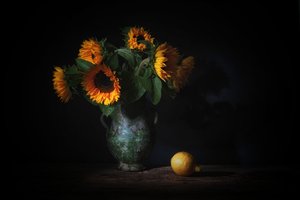  od Saskia Dingemans