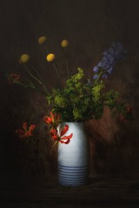  od Saskia Dingemans