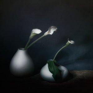  od Saskia Dingemans