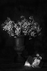  od Saskia Dingemans