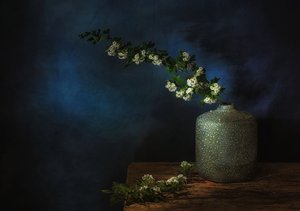  od Saskia Dingemans