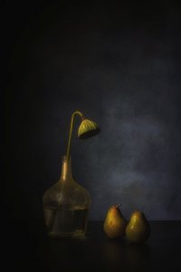  od Saskia Dingemans