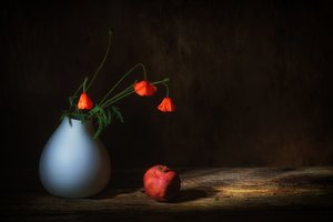  od Saskia Dingemans