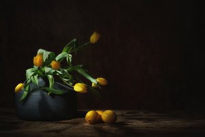  od Saskia Dingemans