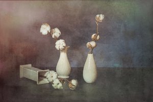  od Saskia Dingemans