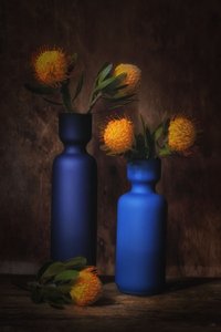  od Saskia Dingemans