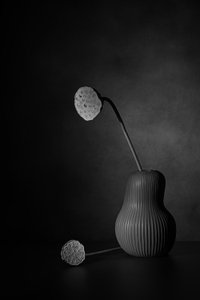  od Saskia Dingemans