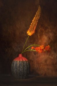  od Saskia Dingemans