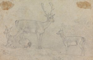 Buck and Two Deer od Sawrey Gilpin