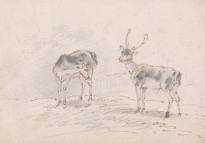 Doe a Buck od Sawrey Gilpin
