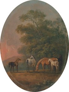 Mares and Foals [1795, Royal Academy of Arts, Londýn, katalog výstavy] od Sawrey Gilpin