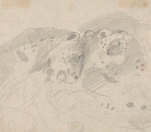 Dva leopardi od Sawrey Gilpin