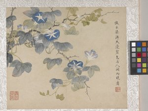 8listé album květin, polovina 17. století (tuš a barva na papíře) od School Chinese