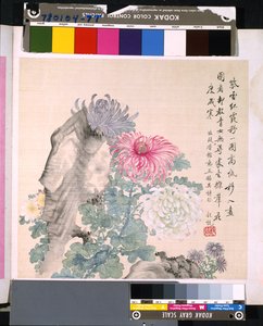 Album květin a ptáků, datum neznámé (tuš a barva na hedvábí) od School Chinese