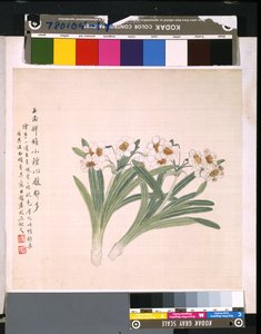 Album květin a ptáků, datum neznámé (tuš a barva na hedvábí) od School Chinese