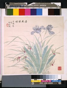 Album květin a ptáků, datum neznámé (tuš a barva na hedvábí) od School Chinese
