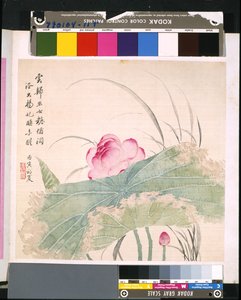 Album květin a ptáků, datum neznámé (tuš a barva na hedvábí) od School Chinese