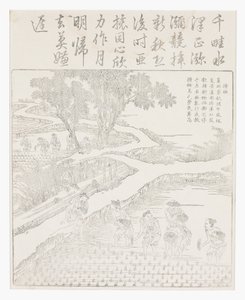 Pěstování rýže od School Chinese