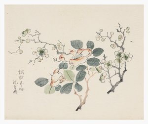Deset bambusových seriálů od School Chinese