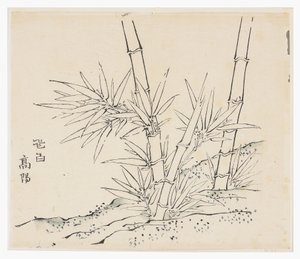 Deset bambusových seriálů od School Chinese