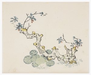 Deset bambusových seriálů od School Chinese