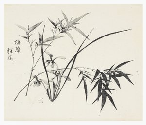 Deset bambusových seriálů od School Chinese