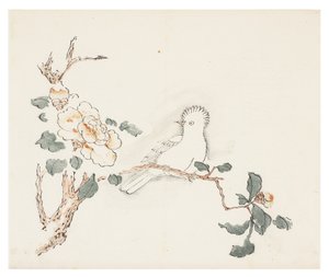 Deset bambusových seriálů od School Chinese