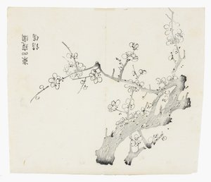 Deset bambusových seriálů od School Chinese