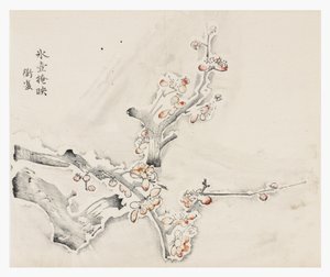 Deset bambusových seriálů od School Chinese