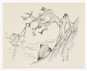 Deset bambusových seriálů od School Chinese